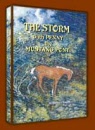stormpenny